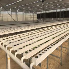 From Farm to Table: How Commercial Hydroponic Systems Are Changing the Food Industry
